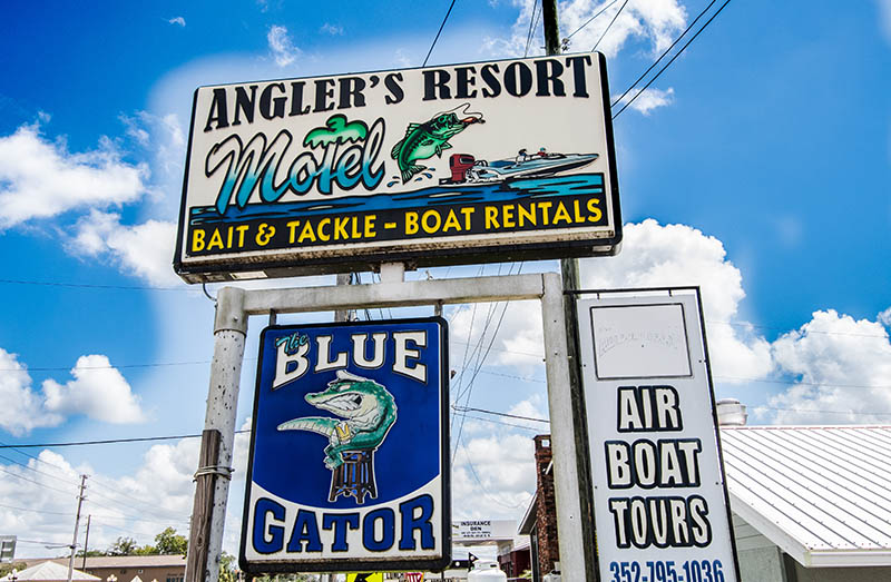 gator den_0001_TAH_5361 gator den_0001_TAH_5361